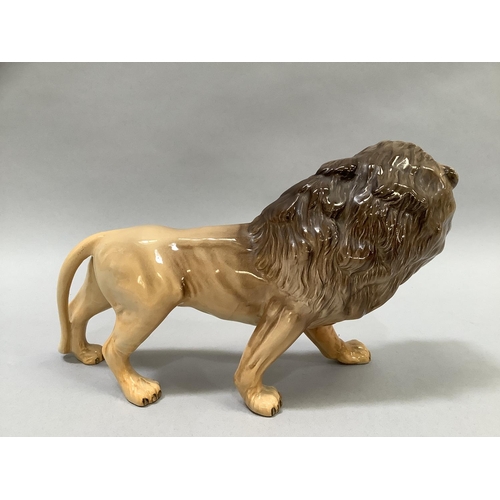 36 - A Beswick model of a lion, approximately 22cm long