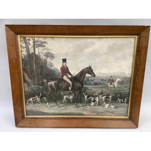 Lot 53        