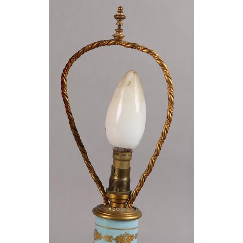 38 - A PAIR OF PALE BLUE AND GILT CHINA TABLE LAMPS painted in polychrome enamels with flowers within fou... 