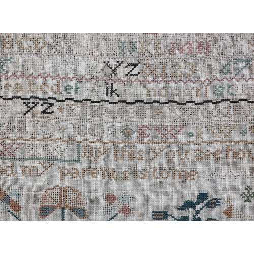 10 - AN EARLY 19TH CENTURY SAMPLER by Elizabeth Woodrup Aged 10 1809, worked in coloured silks, with 'By ... 