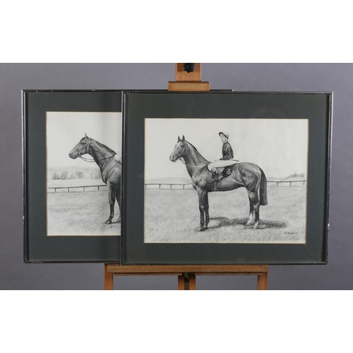 Lot 58        