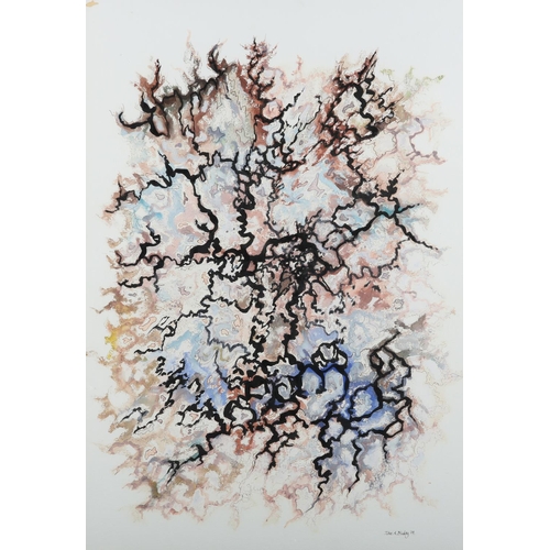 Lot 59        