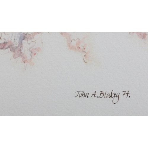 59 - ARR John A Blakey (b1952), organic composition, watercolour, pen and ink, signed and dated (19)74, 7... 