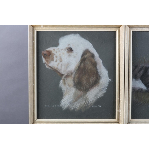 62 - ARR Norman Shaw (Scottish 20th century), Grey tabby in the grass; 'Kelly' clumber spaniel, study, a ... 