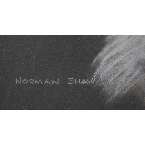 62 - ARR Norman Shaw (Scottish 20th century), Grey tabby in the grass; 'Kelly' clumber spaniel, study, a ... 