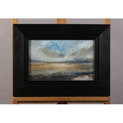 95 - Darren Stevenson (b1977), Seascape, oil on board, signed to lower right, 21.5cm x 33.5cm