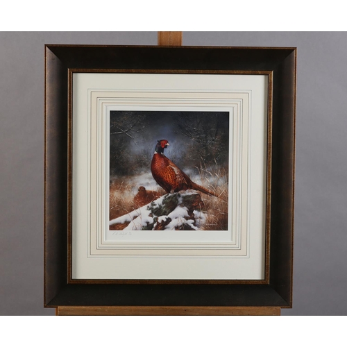 141 - By and after C A Whitfield, Pheasant cock and hen; Partridges in snow covered landscape; a pair, col... 