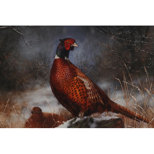 141 - By and after C A Whitfield, Pheasant cock and hen; Partridges in snow covered landscape; a pair, col... 