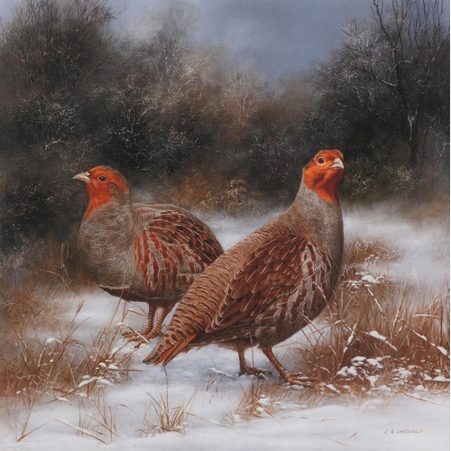 141 - By and after C A Whitfield, Pheasant cock and hen; Partridges in snow covered landscape; a pair, col... 
