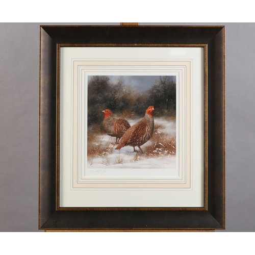 141 - By and after C A Whitfield, Pheasant cock and hen; Partridges in snow covered landscape; a pair, col... 