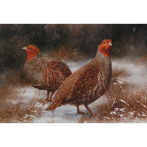 141 - By and after C A Whitfield, Pheasant cock and hen; Partridges in snow covered landscape; a pair, col... 