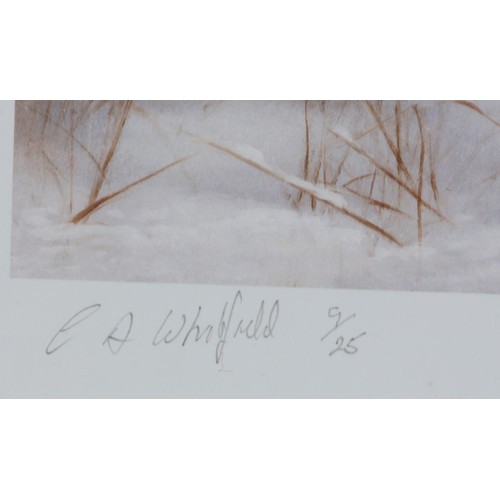 141 - By and after C A Whitfield, Pheasant cock and hen; Partridges in snow covered landscape; a pair, col... 