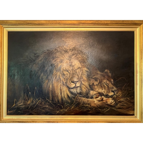 Lot 53        
