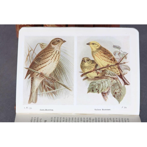 11 - COWARD (T A), The Birds of the British Isles and Their Eggs, 1920 2nd imp., 3 vols, pub. Frederick W... 