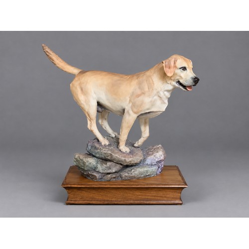 Lot 54        