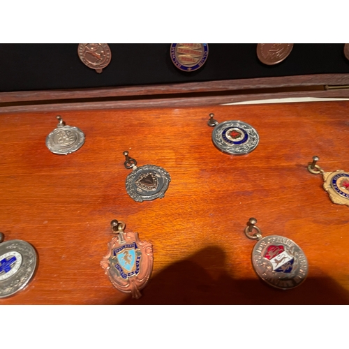 155 - A Well Presented Collection of Cycle Medals & Badges, Mounted on Board and in Wooden Case, Around 65... 