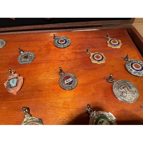 155 - A Well Presented Collection of Cycle Medals & Badges, Mounted on Board and in Wooden Case, Around 65... 