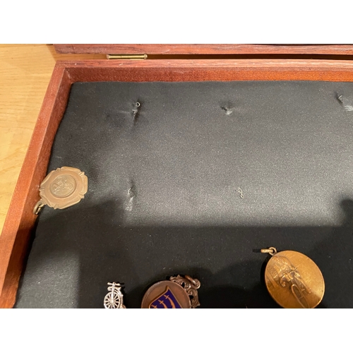 155 - A Well Presented Collection of Cycle Medals & Badges, Mounted on Board and in Wooden Case, Around 65... 