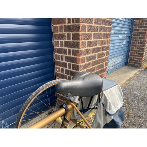 131 - The Evans Tandem Tricycle, very original, Gold colour, Resilion Brakes, Cyclo Gears.


In House Ship... 