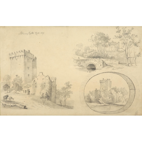 17 - William Roe (d1847) Irish 
Views of Cork City and environs 
Pencil on paper, sizes up to 13