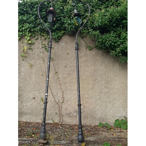 594 - A PAIR HARTE OF WEXFORD CAST IRON STREET LAMPS the cylindrical knopped column with scroll arms and c... 