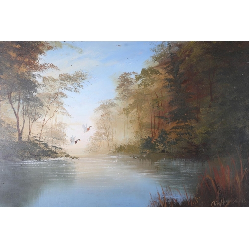 126 - CLIVE HUGHES LAKE SCENE WITH DUCKS IN FLIGHT Oil on canvas signed lower right dated '93 39cm x 51cm ... 