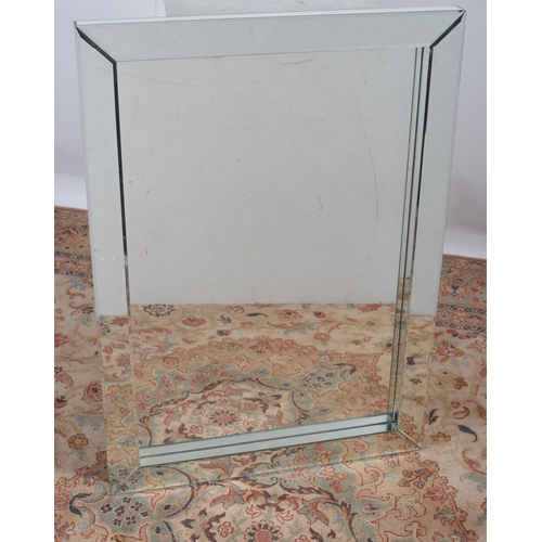 631 - A CONTEMPORARY MIRROR the rectangular plate within a mirrored frame 104cm x 73cm