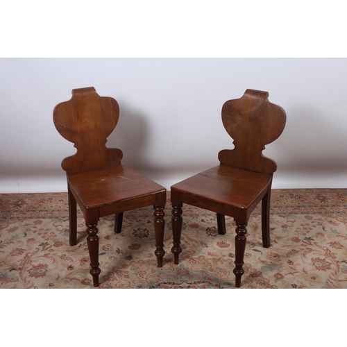 46 - A PAIR OF 19TH CENTURY MAHOGANY HALL CHAIRS each with a shield shaped back and panelled seat on balu... 