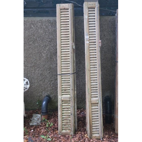 828 - FORTY VINTAGE PINE AND PAINTED LOUVRE SHUTTERS with metal catches 213cm (h) x 26cm (w)