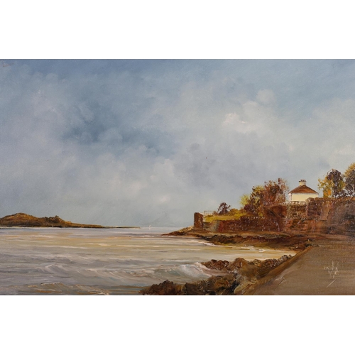 98 - BRENDAN HAYES 
Sandycove, Co. Dublin 
Oil on board
Signed lower right
33cm (h) x 58cm (w)