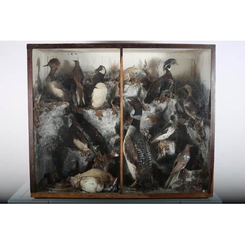 17 - A STAINED WOOD AND GLAZED CASE OF TAXIDERMY BIRDS shown in a naturalistic setting 
109cm (h) x 130cm... 