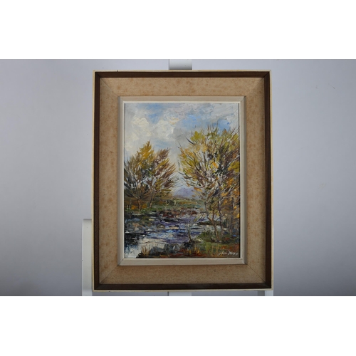 813 - LIAM TREACY 
Riverscape Glenmalure, Co. Wicklow
Oil on board
Signed lower right
40cm (h) x 29cm (w)