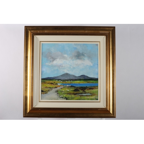 816 - DAVID GORDON HUGHES 
Dun Lewy, Dunloe, Co. Donegal 
Oil on board
Monogrammed top right 
43cm (h) x 3... 