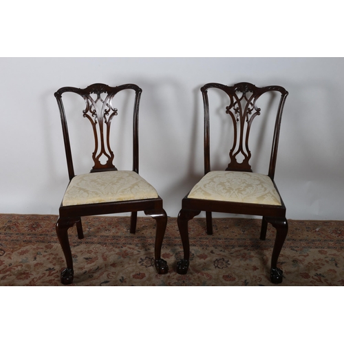 221 - A GOOD PAIR OF 19TH CENTURY CARVED MAHOGANY SIDE CHAIRS each with a serpentine carved top rail with ... 