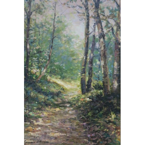 167 - SENAN O'BRIEN
Woodland Path 
Oil on board
Signed lower left
42cm (h) x 28cm (w)