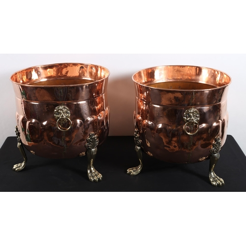 574 - A PAIR OF VINTAGE COPPER AND BRASS JARDINIERES each of cylindrical form with brass lion mask ring ha... 