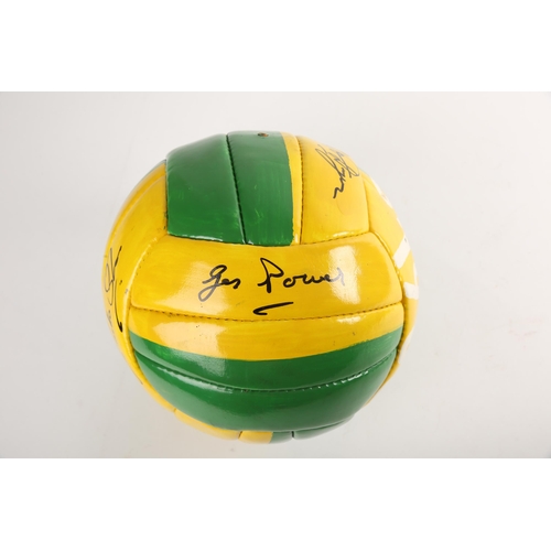 349 - Kerry Minor Football team 1988 painted team photograph ball, signed by Charlie Nelligan, Eoin 'Bombe... 