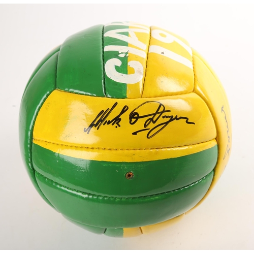 349 - Kerry Minor Football team 1988 painted team photograph ball, signed by Charlie Nelligan, Eoin 'Bombe... 