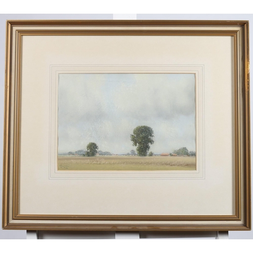 701 - ENGLISH SCHOOL, 20TH CENTURY
Landscapes with Trees
Watercolours
A pair 
Indistinctly signed lower ri... 