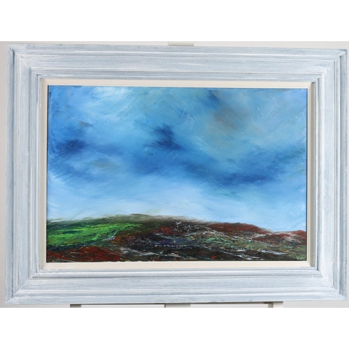 702 - DECLAN MARRY
Mountain Landscape
Oil on canvas
38cm (h) x 59cm (w)