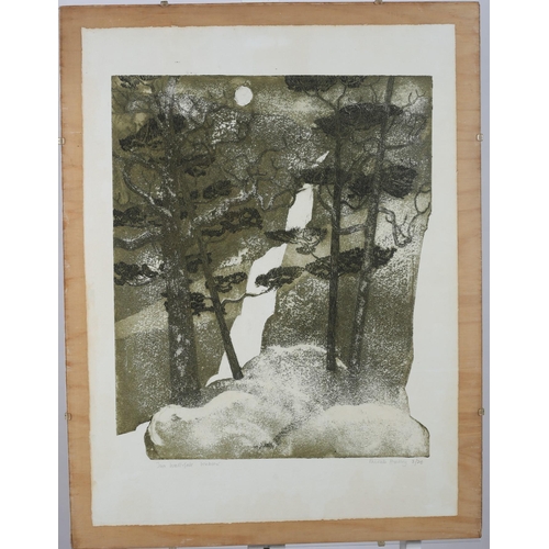 593 - PATRICK HICKEY
Two Waterfalls Wicklow
Colour etching
Limited edition 
Signed, inscribed and numbered... 