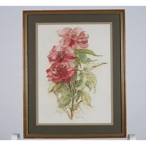 156 - ASHA
Floral Study 
Watercolour
Signed lower right
Inscribed Dublin '82
38cm (h) x 28cm (w)