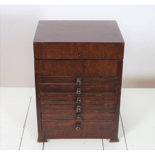 96 - A STAINED BEECHWOOD SPECIMEN CHEST of rectangular outline the hinged lid above six long graduated dr... 