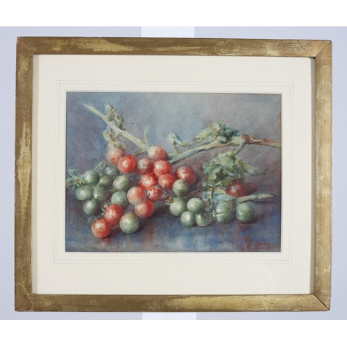 759 - RACHEL H. MILES
Still Life, Grape and Tomatoes
Watercolour
Watercolour Society of Ireland exhibited ... 