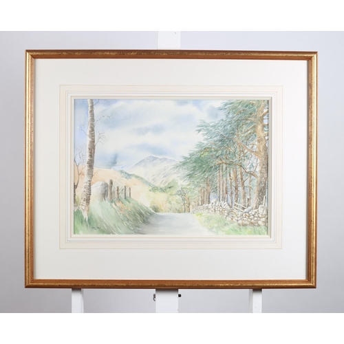 145 - SUSAN MORLEY 
A Mountain Landscape 
Watercolour
Signed lower left, dated 1994
35cm (h) x 52cm (w)