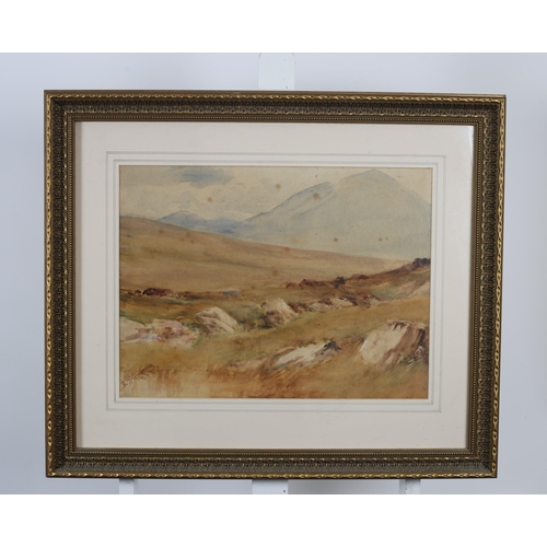 727 - BINGHAM MCGUINNESS
Mountain Landscape 
Watercolour
Signed lower left
37cm (h) x 50cm (w)