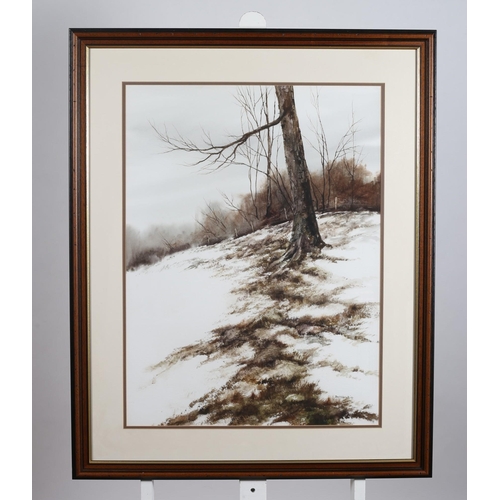 674 - PHYLLIS DEL VECCHIO
First Snow
Watercolour
Signed lower right
76cm (h) x 54cm (w)