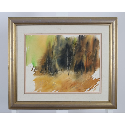 676 - WOODED LANDSCAPE 
Watercolour
Signed lower right
27cm (h) x 35cm (w) together with after J.H. CRAIG
... 