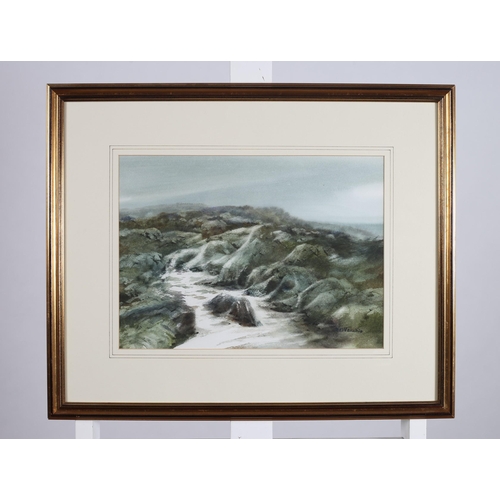 701 - PHYLLIS DEL VECCHIO
Wake of Storm 
Watercolour
Signed lower right
27cm (h) x 37cm (w)