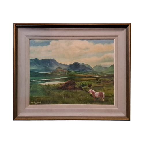 705 - BRIAN J. ELLIS
Mountain Landscape with Pony
Oil on board
Signed lower left, dated '74
34cm (h) x 44c... 